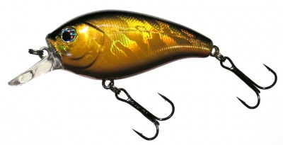 Asai Shad color BLK/GLD