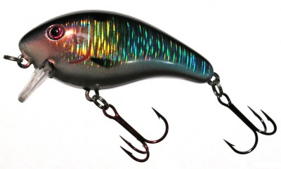 Cho Asai Shad color 102