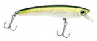 Nano Minnow color 