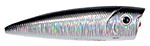 Okoru Shad Popper color 116