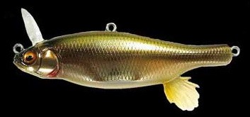 Anthrax color pm kamutsuwa