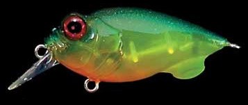 Baby Griffon color blue back chart candy