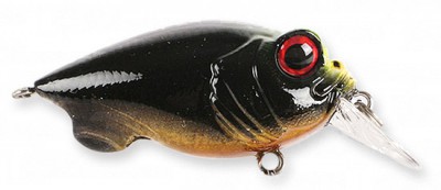 Baby Griffon color cuba libre