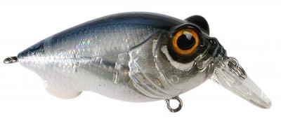 Baby Griffon color gp pro blue 2