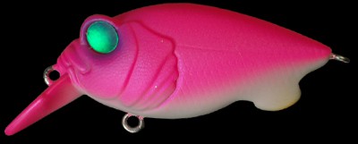 Baby Griffon color killer pink