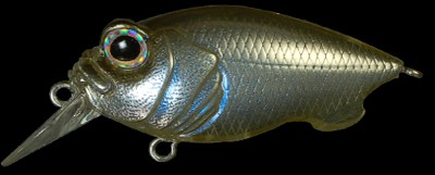 Baby Griffon color m shinko wakasagi