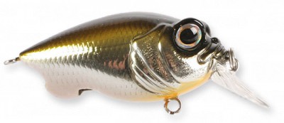 Baby Griffon color m stardust shad ob