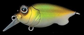 Baby Griffon color mat honmoroko