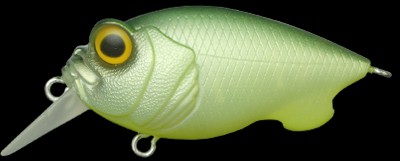 Baby Griffon color mat lime