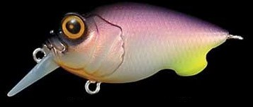 Baby Griffon color mat reaction