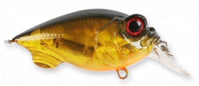 Baby Griffon color megabass kinkur