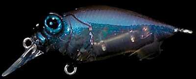 Baby Griffon color nc il tamamushi