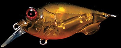 Baby Griffon color nc megabass kinkuro