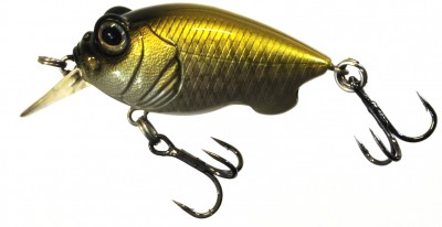 Baby Griffon color neo carp