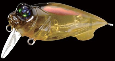 Baby Griffon Zero color cicada