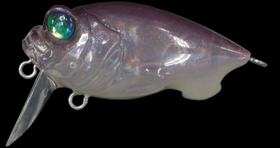 Baby Griffon Zero color eschalot