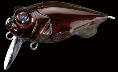 Baby Griffon Zero color il cockwoo