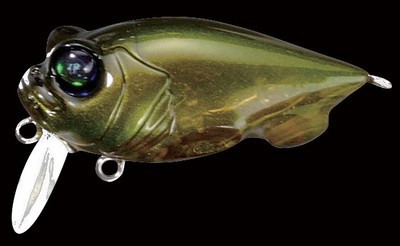 Baby Griffon Zero color il kanabun