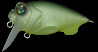 Baby Griffon Zero color mat lime