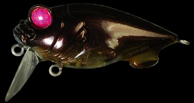 Baby Griffon Zero color nojiri beetle