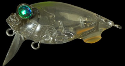 Baby Griffon Zero color rising sun ii