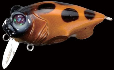 Baby Griffon Zero color tento ii