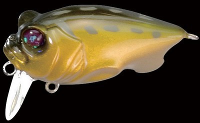 Baby Griffon Zero color tonosama frog