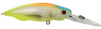 Bait-X color skeleton chart 2