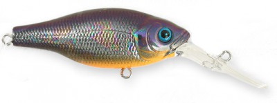 Deep-X 100 color il tamamushi ob