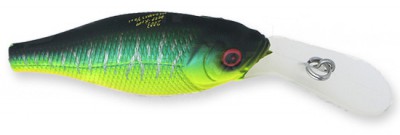 Deep-X 100 color matte tiger