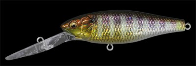 Deep-X 201 color gg gill