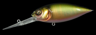 Deep-X 300 color wagin oikawa