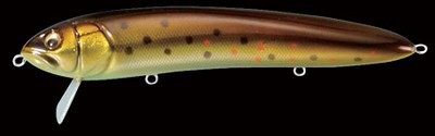 Do-Rum color brown trout
