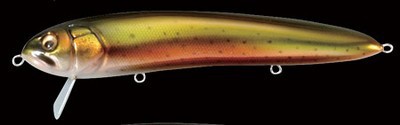 Do-Rum color rainbow trout