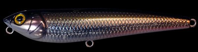 Dog-X color m cosmic shad