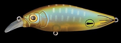 Flap Slap SW Hiragi color pm squid