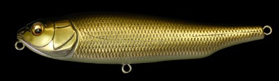 Giant Dog-X color wakin golden shad