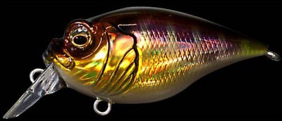 Griffon 6cc color gg gill