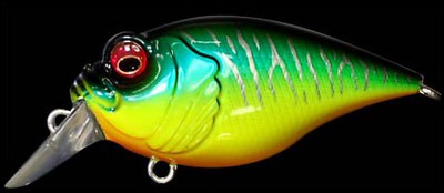 Griffon 6cc color hot tiger