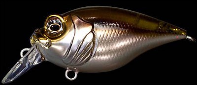 Griffon 6cc color ito wakasagi