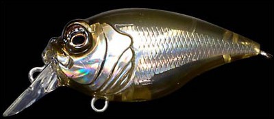 Griffon 6cc color st shinko wakasagi