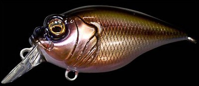 Griffon 6cc color wagin kawamutu