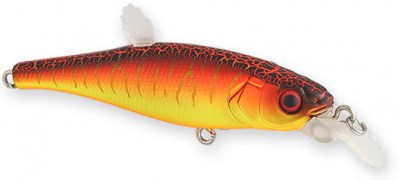 Live-X Margay Stepcat color aka tora