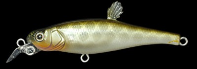 Live-X Margay Stepcat color dojyou