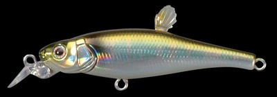 Live-X Margay Stepcat color gg oikawa