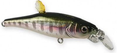 Live-X Margay Stepcat color gg tanagon