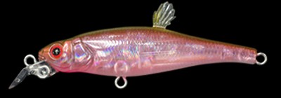 Live-X Margay Stepcat color gp sakura