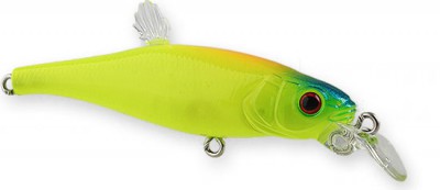 Live-X Margay Stepcat color skeleton chart