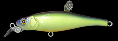 Live-X Margay Stepcat color table rock sp