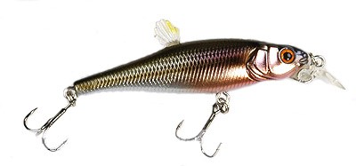 Live-X Margay Stepcat color wagin kawamutsu